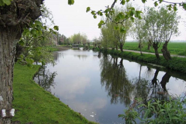 De hoofdwetering in de polder Ruige Weide