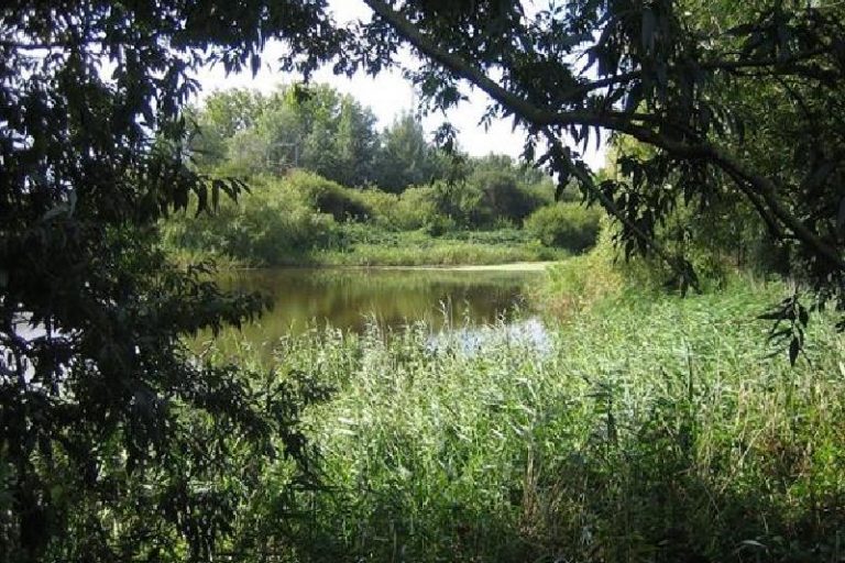 viswater-spoorwater-1