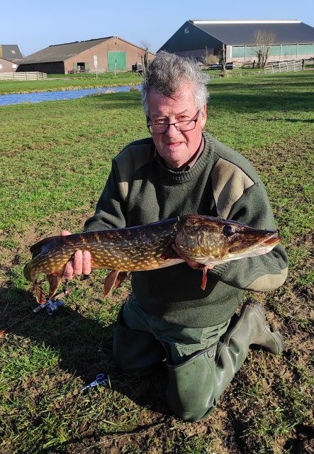 Schreineriaans vissen